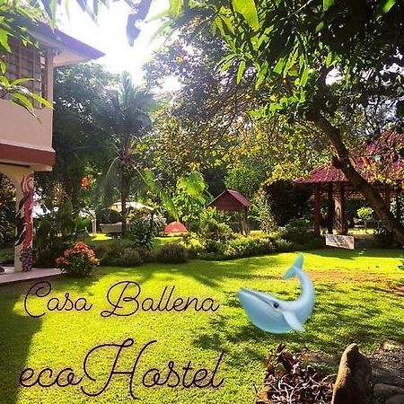Casa Ballena Eco Hostel Uvita Bagian luar foto