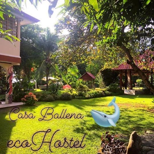 Casa Ballena Eco Hostel Uvita Bagian luar foto