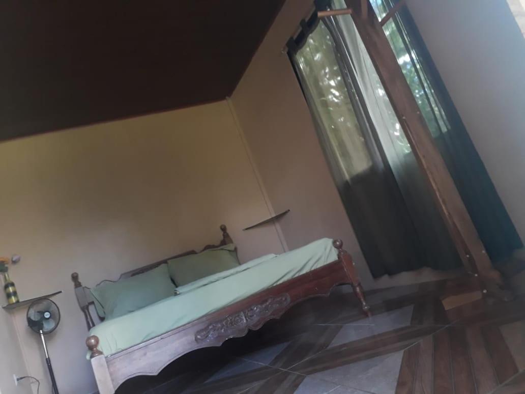 Casa Ballena Eco Hostel Uvita Bagian luar foto